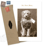 The Shannon Martin Design "Sit. Stay. Heal. Get Well Card" features a sepia dog with a flower basket and tag, plus an envelope with vintage stamps—perfect for fans of classic greeting cards.