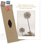 The Memory Treasure Sympathy Card by Shannon Martin Design features sepia dandelion photos, the message "When someone you love becomes a memory, the memory becomes a treasure," recycled paper, a brown envelope, and vintage stamps.