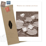 The Wishing You Comfort And Peace Sympathy Card by Shannon Martin Design features sepia-toned water lilies and comforting text, printed on recycled paper, paired with a brown envelope adorned with two vintage stamps.
