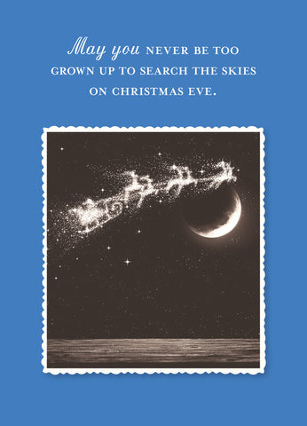 Search The Skies Holiday Card