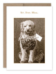 A sepia-toned image of a dog holding a basket filled with flowers and a card graces the recycled paper of the Sit. Stay. Heal. Get Well Card by Shannon Martin Design.