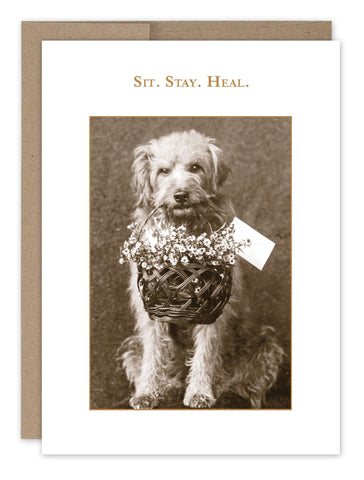 Sit. Stay. Heal. Get Well Card